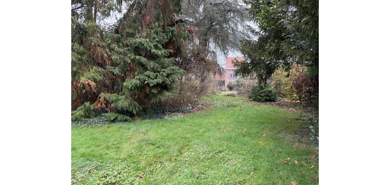 RENOVATIE WONING EN/OF BOUWGROND OP 3200M2